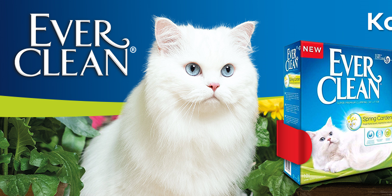 Як обрати ідеальний наповнювач для кота з Everclean? - Lord Zoo ...